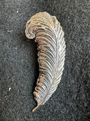Vintage Sarah Coventry “Feather Froth” Clip Earrings