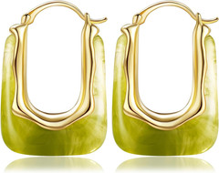 Acrylic Gold Hoop Earrings Chunky Huggie Statement Vintage Earrings Cute Resin D
