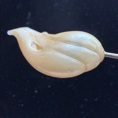 Vintage 1940’s Jabot Pin Lucite Plastic Resin Shell? Winged Victory Ivory Lovely