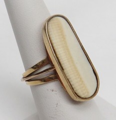 HALF-BILLION-YEAR-OLD PREHISTORIC CRICO COSMIA FOSSILIZED WORM IN 14K GOLD RING