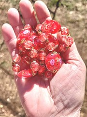 SALE! VINTAGE VENETIAN ITALY COIN RED PINK ROSES GOLD ART GLASS KNOT NECKLACE XL