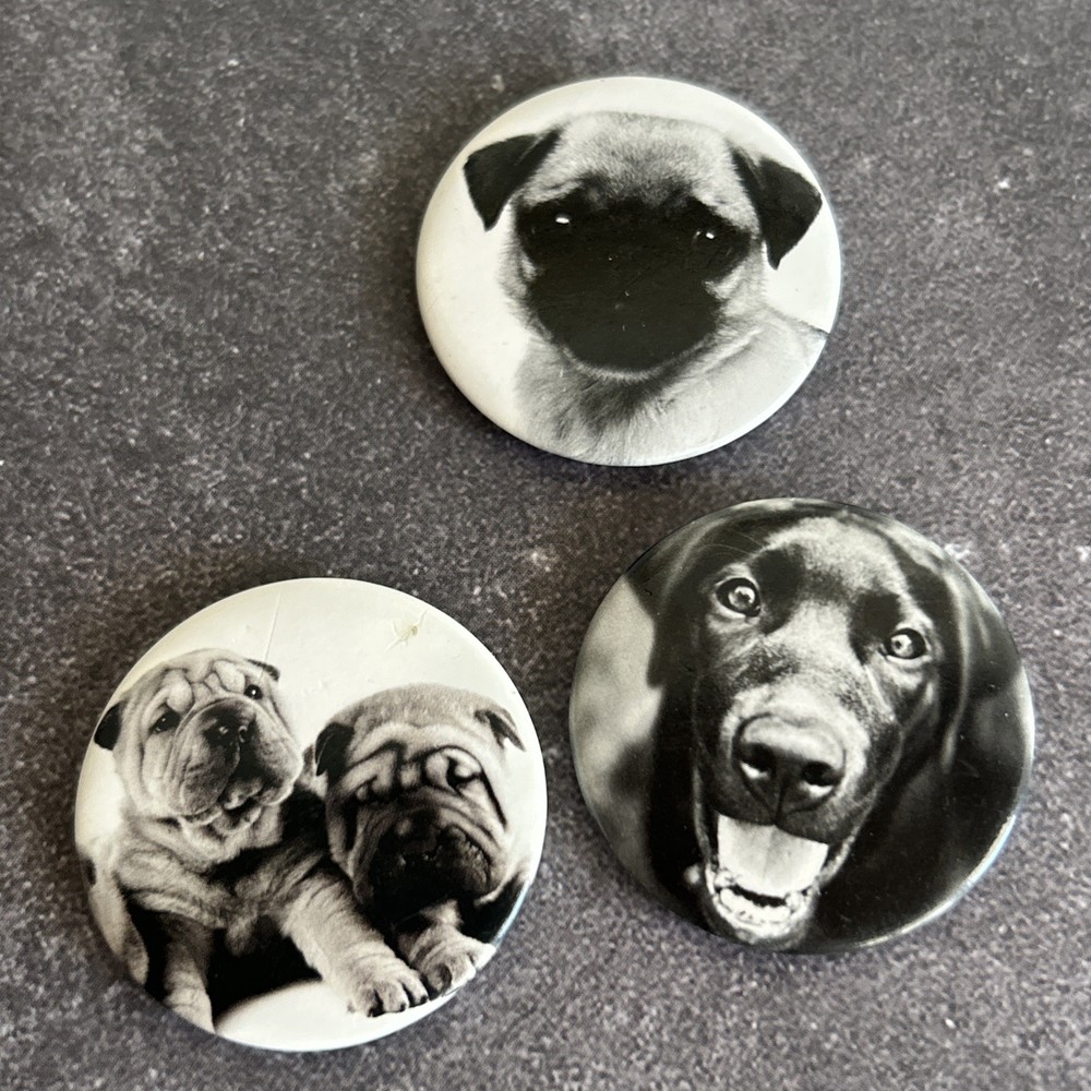 Dog Face Button Pinback Pin Lot Pug Labrador Animal Lover Vintage Collectables
