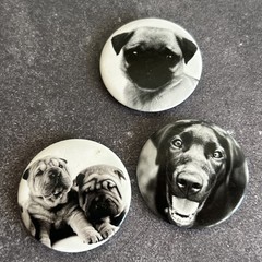 Dog Face Button Pinback Pin Lot Pug Labrador Animal Lover Vintage Collectables