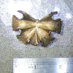 Vintage S.G. D’OR Dress or Shoe Clip On gold tone Flower or Leaf