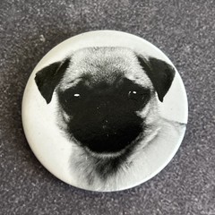 Dog Face Button Pinback Pin Lot Pug Labrador Animal Lover Vintage Collectables