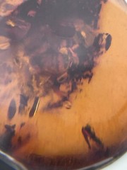 Natural Baltic Amber Organic Fossil 925 Silver Vintage Large Pendant Latvia 70s