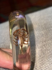 Clear Vtg Scorpion Bracelet Translucent Resin, 1960s, NOS Small #15