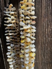 Vintage Statement Necklace Hand Strung Multi Strand Shell Beads Cluster #1