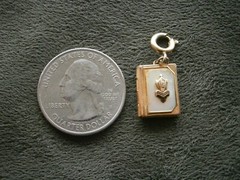 High School Book Opening Goldtone MOP Locket Pendant Charm 2.0g ~ Engraved MJG