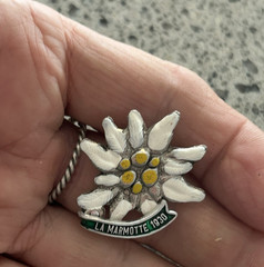Enameled Vintage Pin La Marmotte 1930 Ski Mountain restaurant/hotel + Edelweiss