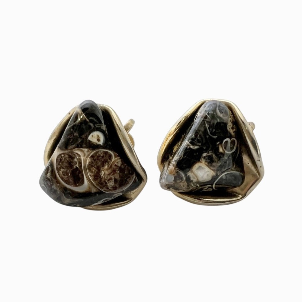 Turritella Agate Fossil Earrings Screw Back Gold Tone Shell Inclusions Vintage