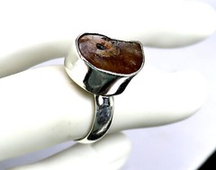 Excellent 450 mil years old Natural Ammonite Fossil .925 Sterling Silver Ring #6