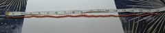 Antique Hand Knotted Red Coral Necklace