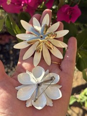 Vintage Sarah Coventry Huge White Daisy Brooch W Gold Center 1968 & Bonus Pin!
