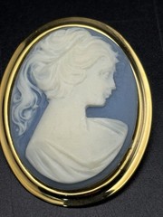 Vintage Cameo Brooch Pin Pendant Lot Of 6 One Carve Shell Lady In Profile