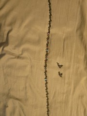 Vclm Vintage Necklace And Earrings Set