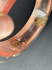 Clear Soft Pink Vtg Beetle Bracelet Translucent Resin,,1960s, NOS(#5)