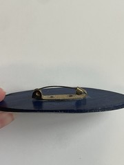Vintage Indian Blue Carved Cartilage Brooch