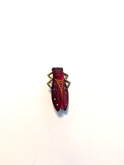 Trio of Vintage Czech Insect and Animal Pins