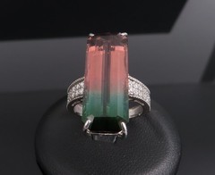 Rare 15.82ct Natural Party Color Tourmaline 0.35ct Diamond Platinum Ring, Size 7