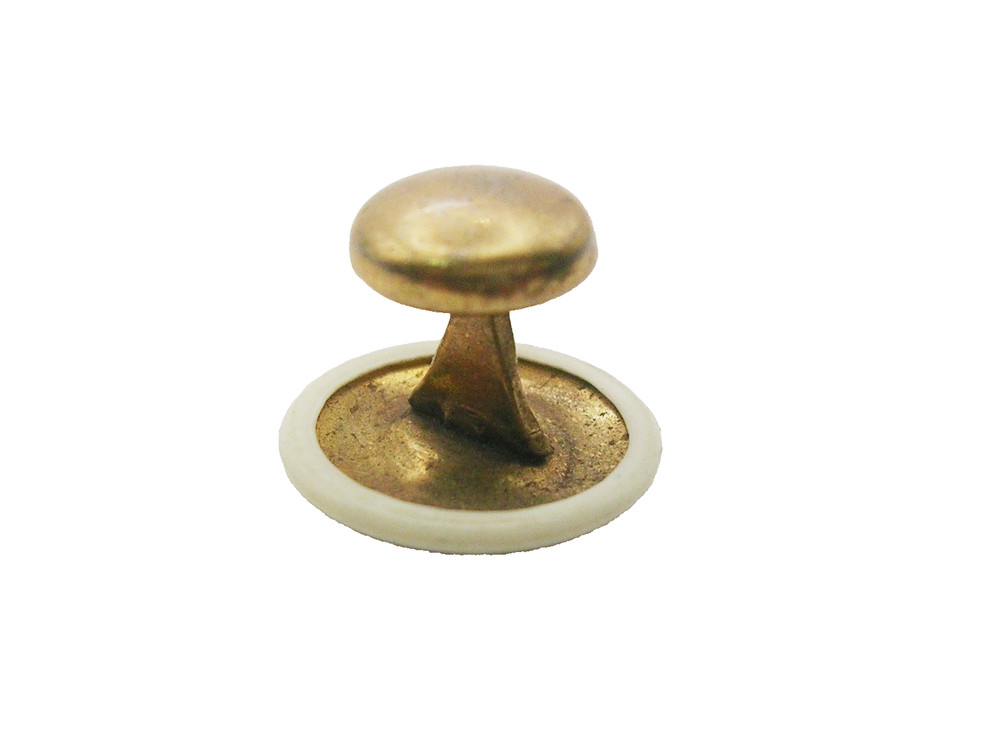 Antique Collar Stud Cleric Button Celluloid flip back