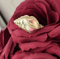 Vintage Conch Sea Shell Gold tone Hinged Scarf Clip 🐚
