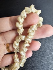 Antique Tasmanian Tronchus Shell Cream Iridescent Strand 30″