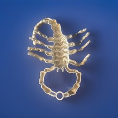 925 Sterling Silver Scorpion Pendant From 1950-1970’s