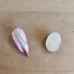 Vintage Mother Of Pearl Clips Button Collar Scarf Shoe Antique Set Of 2 Jewelry
