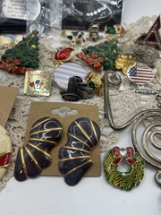 Huge Lot Of Pins, Costume Jewelry , Earrings And One Keychain