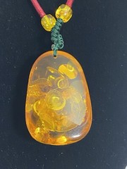 Reconstituted Amber Fossil Insect Pendant Necklace Adjustable Paracord