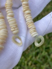 Vintage Hawaiian Puka Shell Bead Necklace 17.75 Inch Graduated up to 8.2mm