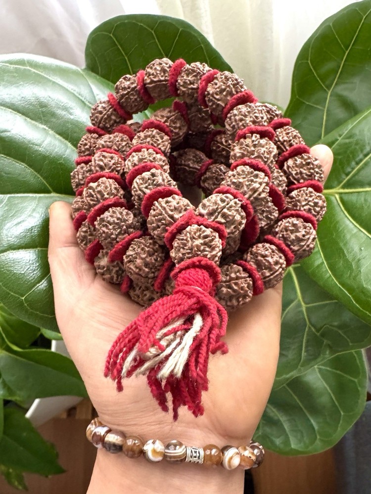Vintage Natural 5 Mukhi Blessed Rudraksha Beads Yoga & Meditation Mala 40”inch