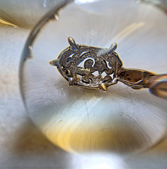 3D TURTLE 1 1/4″ w O ring x 5/8″ Sterling Silver 0.925 Charm or Pendant