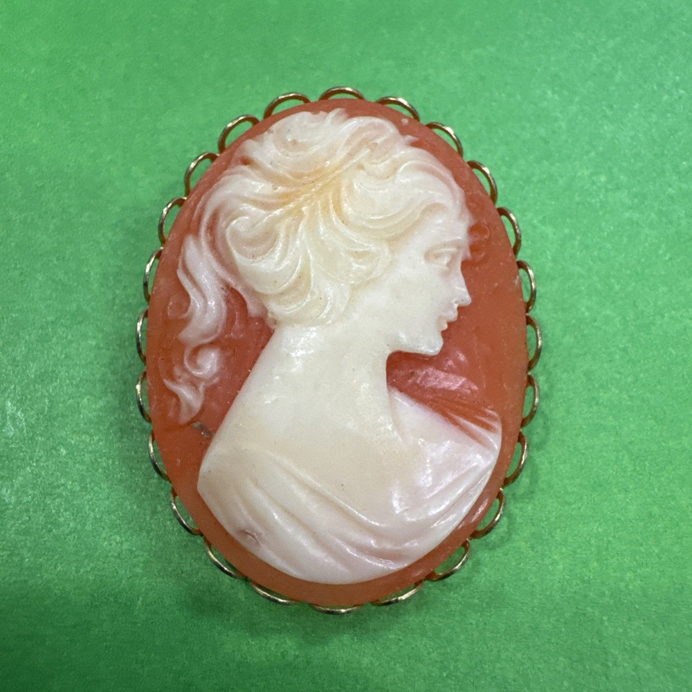 Vintage Cameo Brooch Goldtone Setting