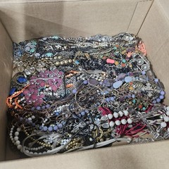Premier Designs Jewelry HUGE 8+ lbs Necklace Lot 50 Necklaces Modern