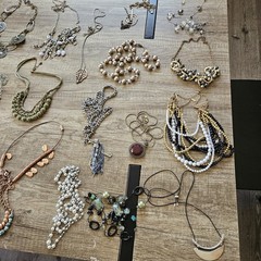 Premier Designs Jewelry HUGE 8+ lbs Necklace Lot 50 Necklaces Modern