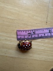 Vintage UnoAErre Italy 14K Gold Orange Enamel Ladybug Brooch Pin Signed 2cm 3g