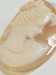 Vintage 1950s Shell Cameo 23mm X 30mm