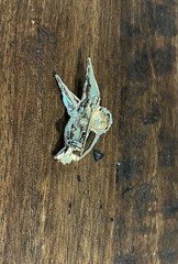 Vintage GERRY’S Textured Gold Tone Red Enamel Small HUMMINGBIRD Brooch