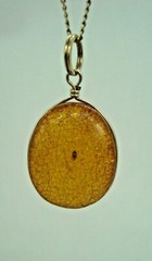 VINTAGE ANTIQUE BALTIC AMBER PENDANT W/INSECT BUG FOSSIL & GOLD TONE WIRE FRAME