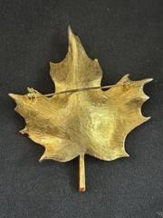 Vintage Enamel Maple Leaf Brooch Pin Colorful Autumn Fall Foliage Gold Tone