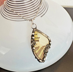 Butterfly Wing Pendant Eastern Tiger Swallowtail Necklace Artisan Jewelry Fairy