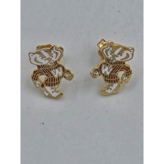 Bucky Badger Earrings Madison Wisconsin Pin Gold Football Sports 1/2in Vintage