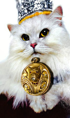 U*N*U*S*E*D* OUTSTANDING Victorian Paste GF *BULLDOG* Locket EXCELLENT CONDITION