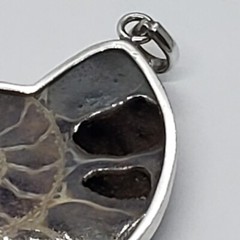 Vintage Large Ammolite Opalized Ammonite Mollusk Fossil Sterling Silver PENDANT