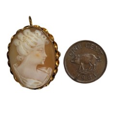 Vintage 1/23 12k Gold Filled Hand Carved Shell Cameo Brooch