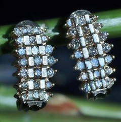 10k yellow gold earrings 1.00ct natural diamond 0.72″ pyramid dangle 4.50g N3658