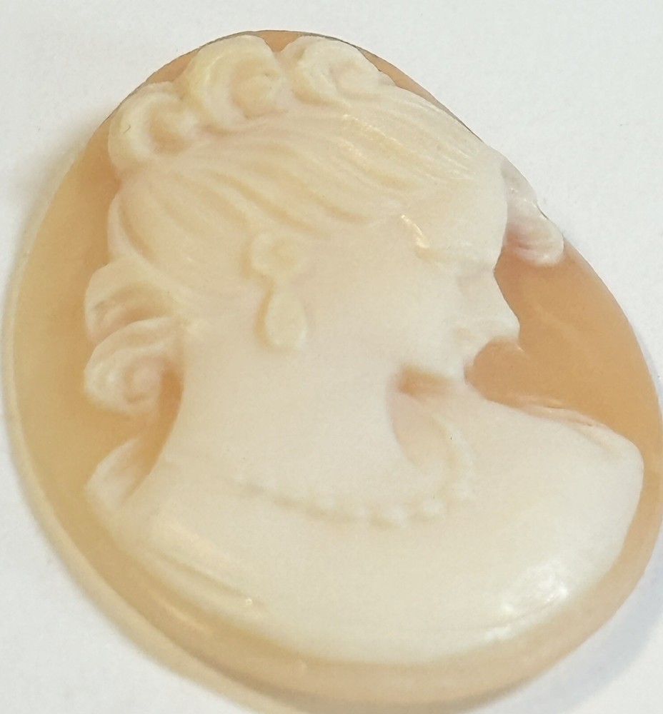 Vintage 1950s Shell Cameo 23mm X 30mm