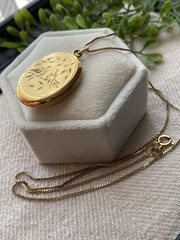 Vintage Yellow Gold Filled Picture Locket Pendant Necklace Engraved Birds